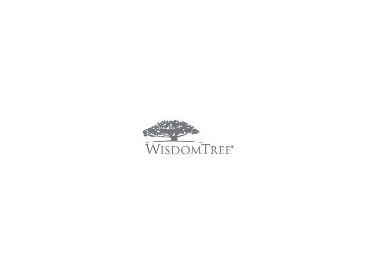 WisdomTree ETF